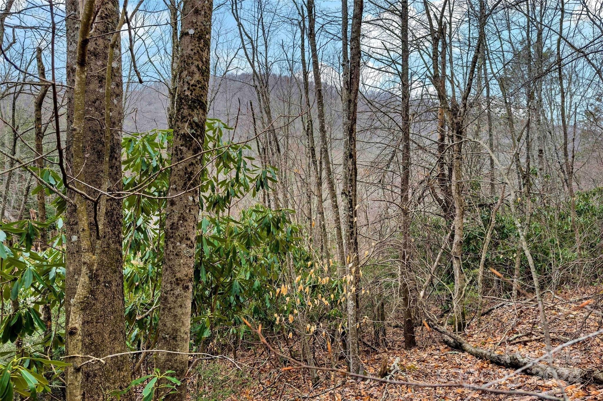 Property Image for 000 Hickory Nut Gap Road