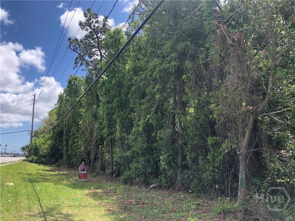 Property Image for 5479 New Jesup Highway