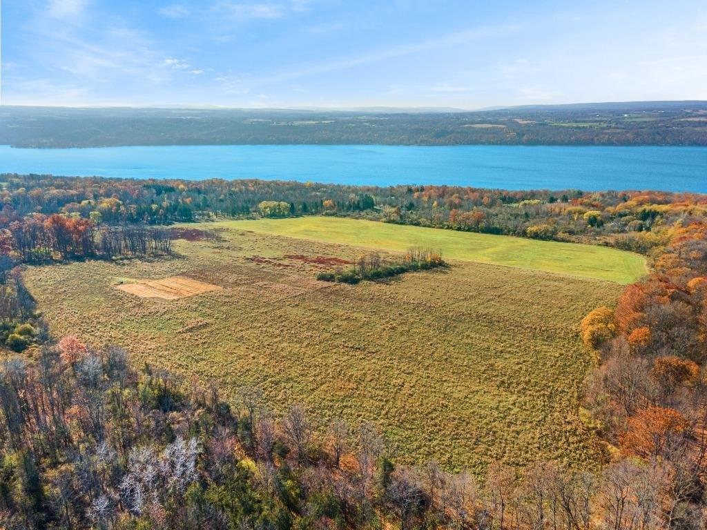print property image