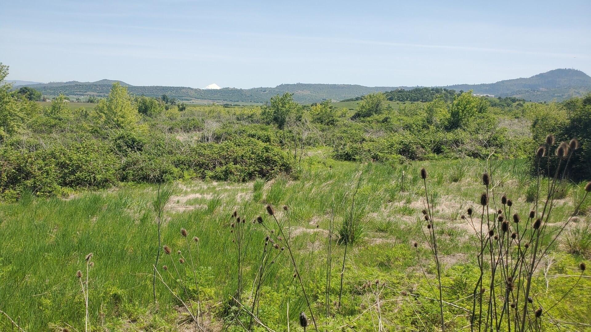 Property Image for 0 Crater Lake Avenue 13.52