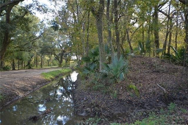 Property Image for POYDRAS PLANT LOT 11 Other