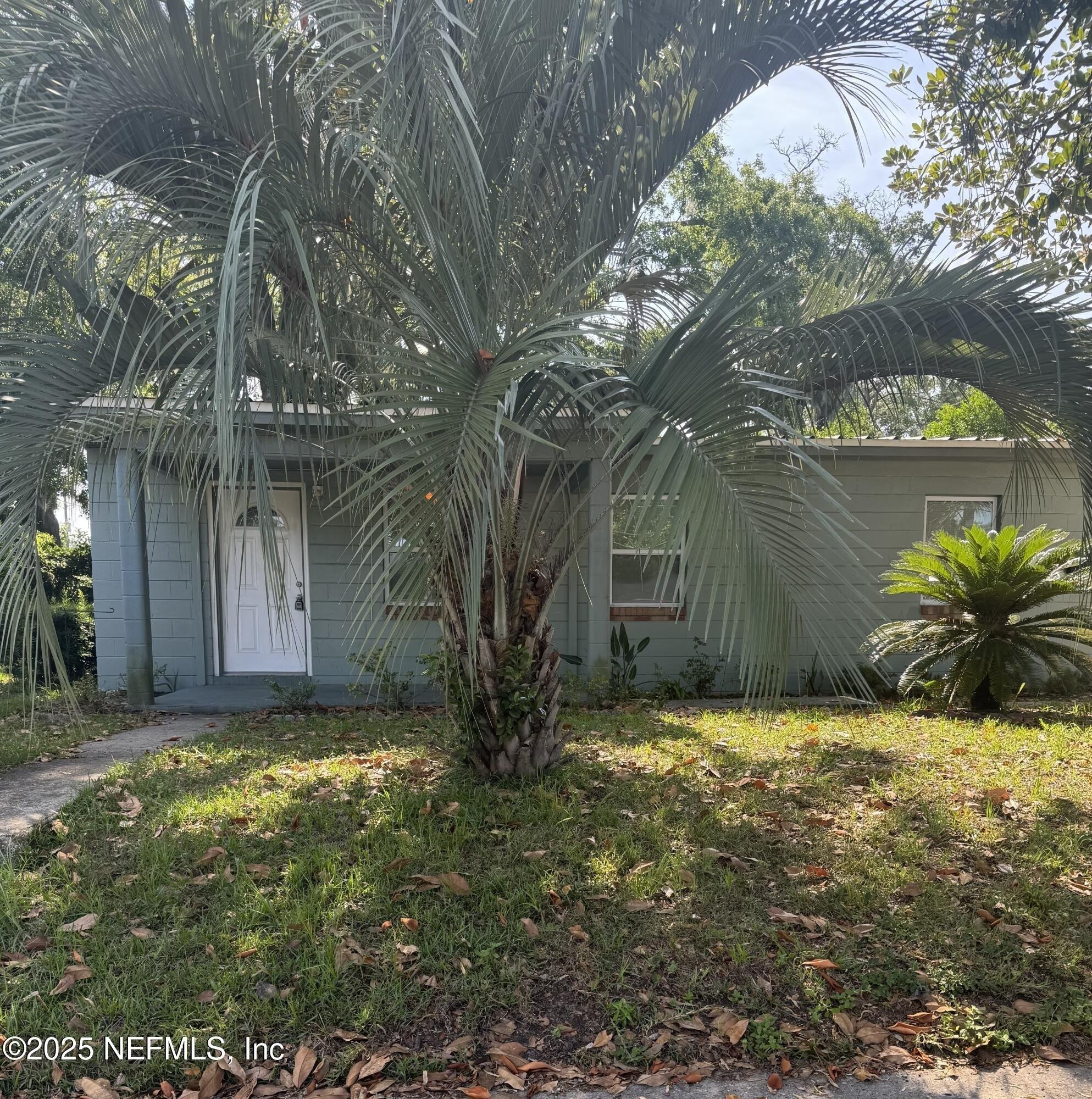 Property Image for 1517 ROGERO Road
