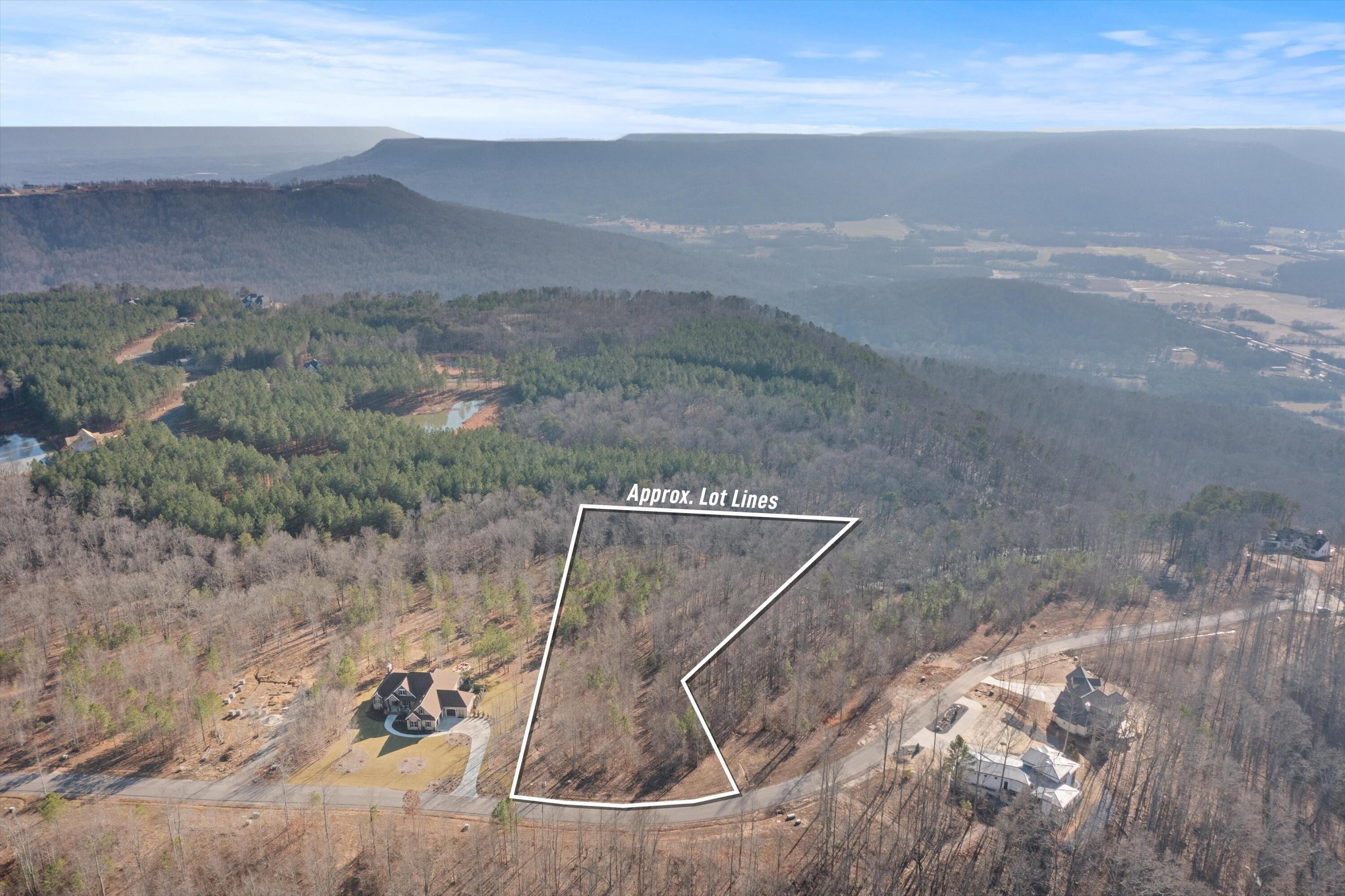 print property image