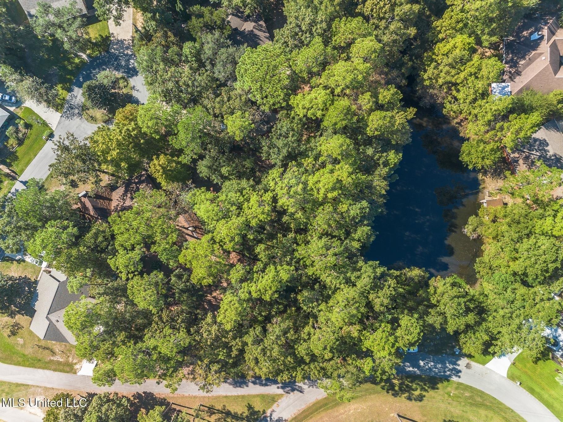 print property image