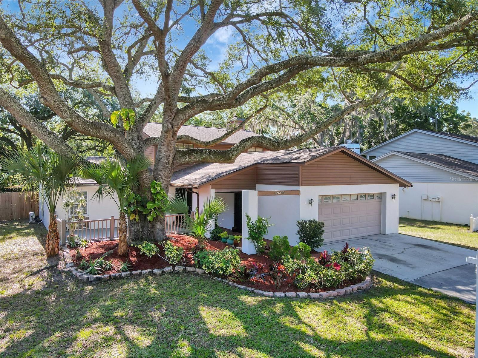 Property Image for 12603 Rain Forest Street