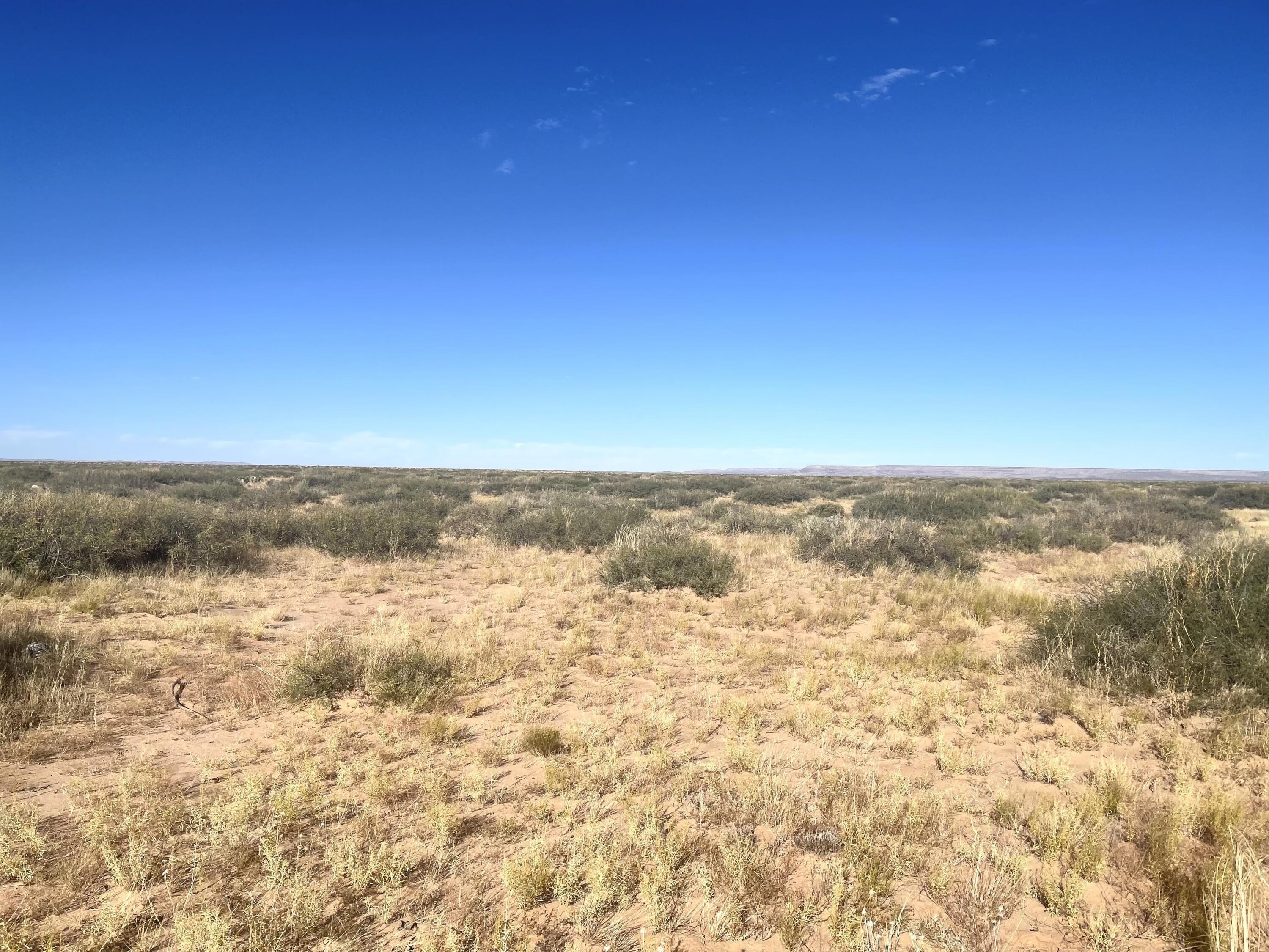 print property image