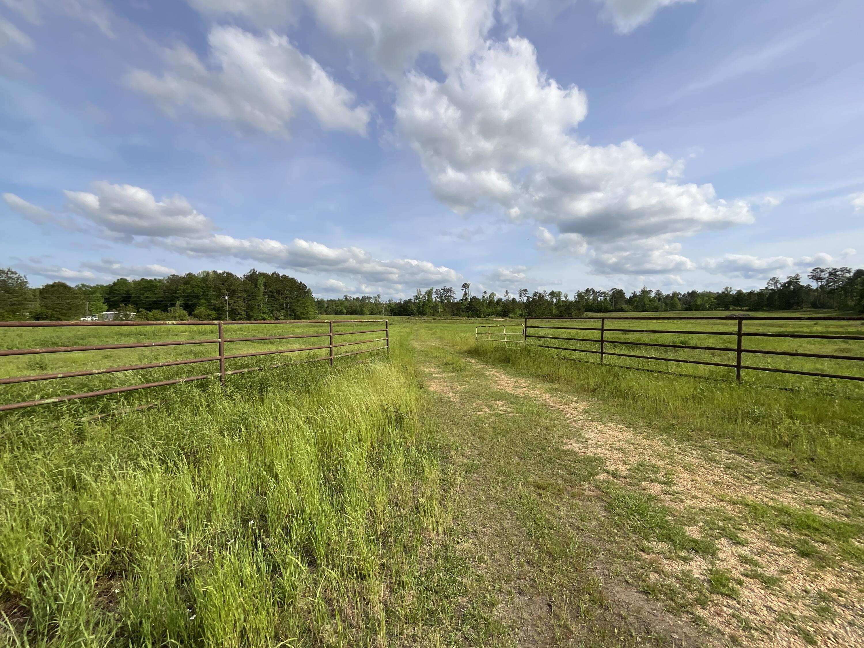 Property Image for 38.6 Acres Fire Tower Rd.