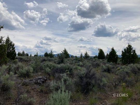 Property Image for Lot 300 Hwy 140 E