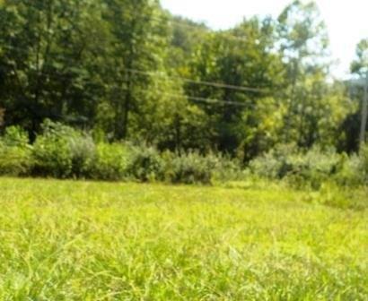 Property Image for Lot13,14 DB 549,664 Pg. 352,102 Ivy Creek