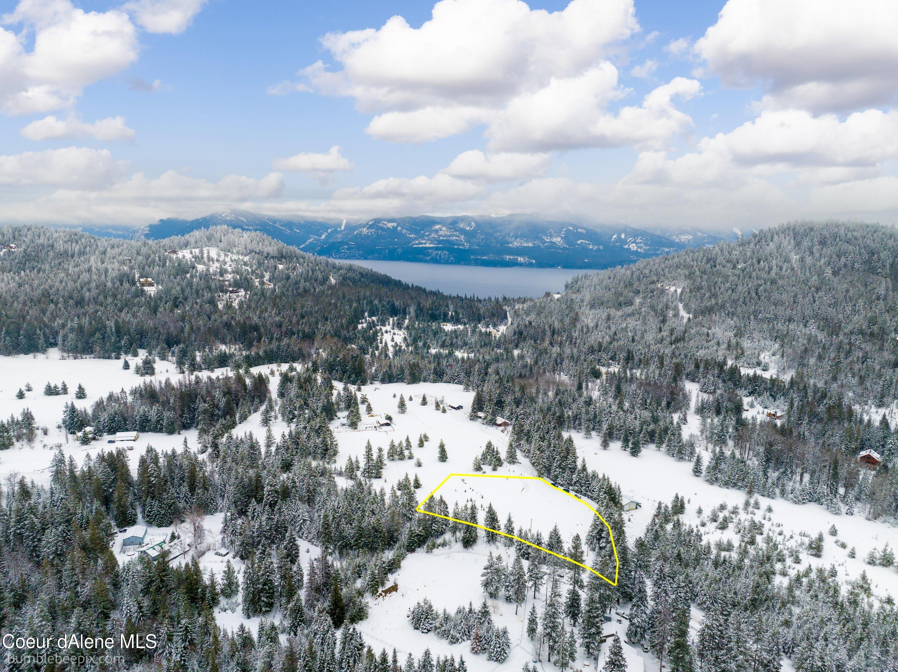 print property image