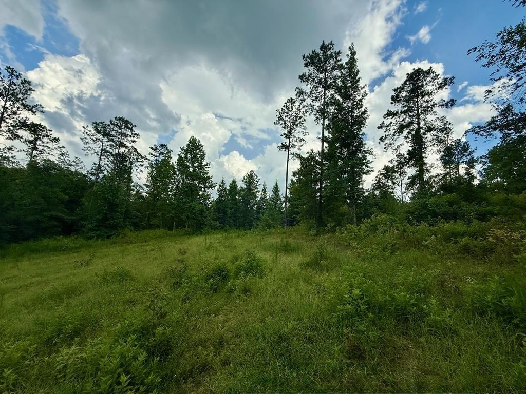 print property image