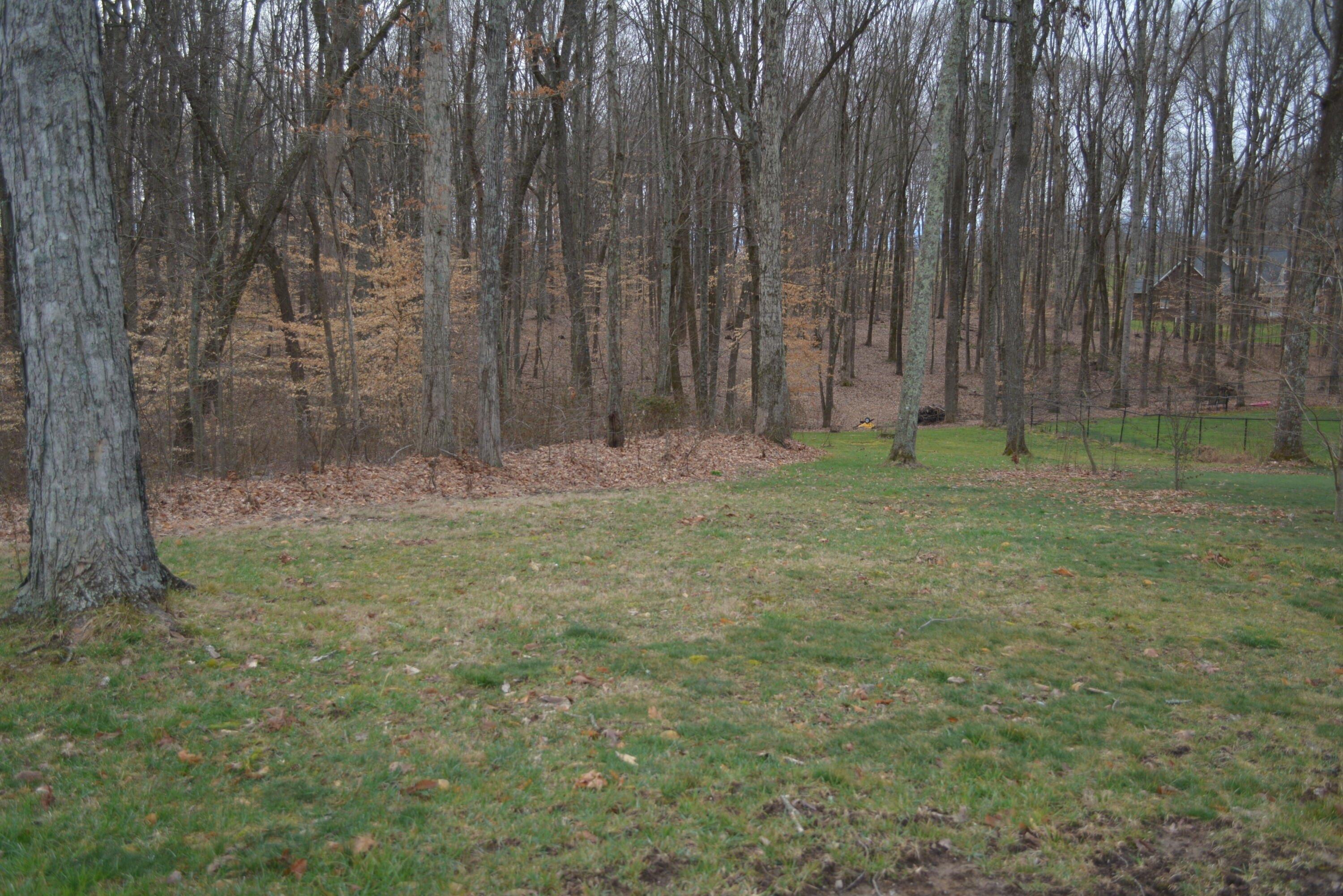 print property image