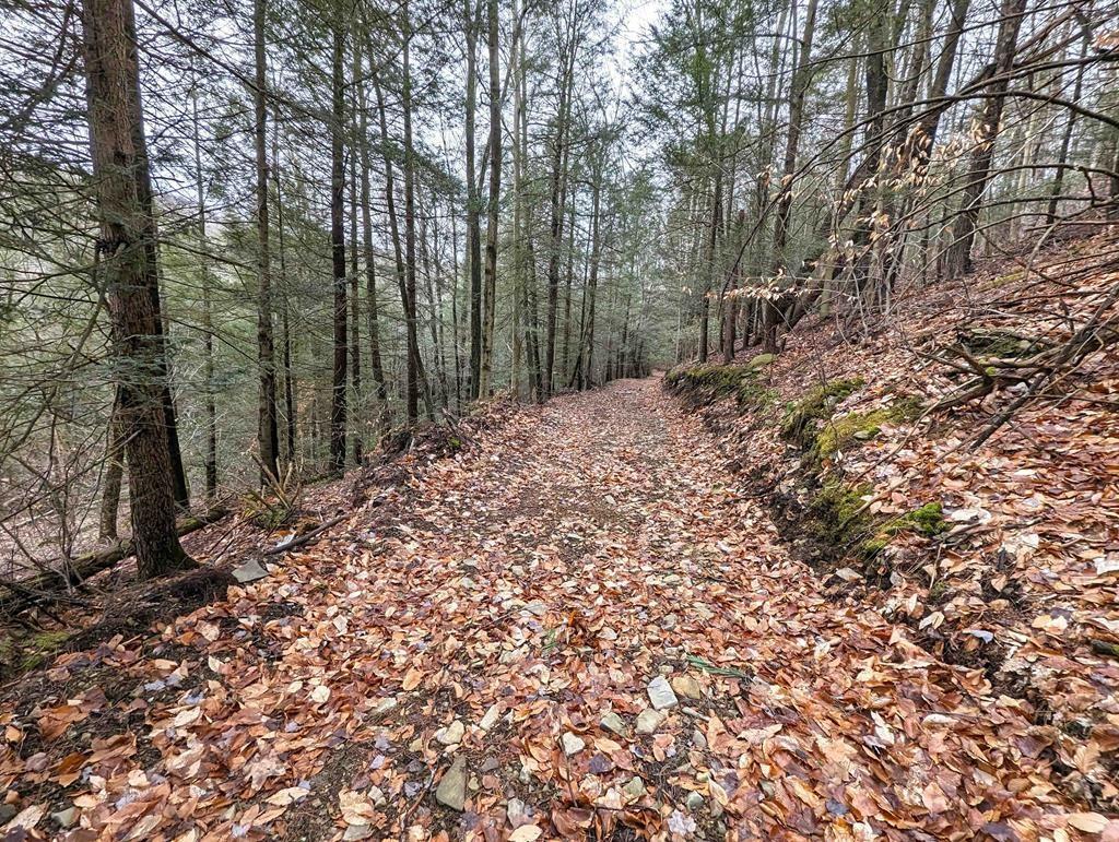 Property Image for Wilson Hollow Road