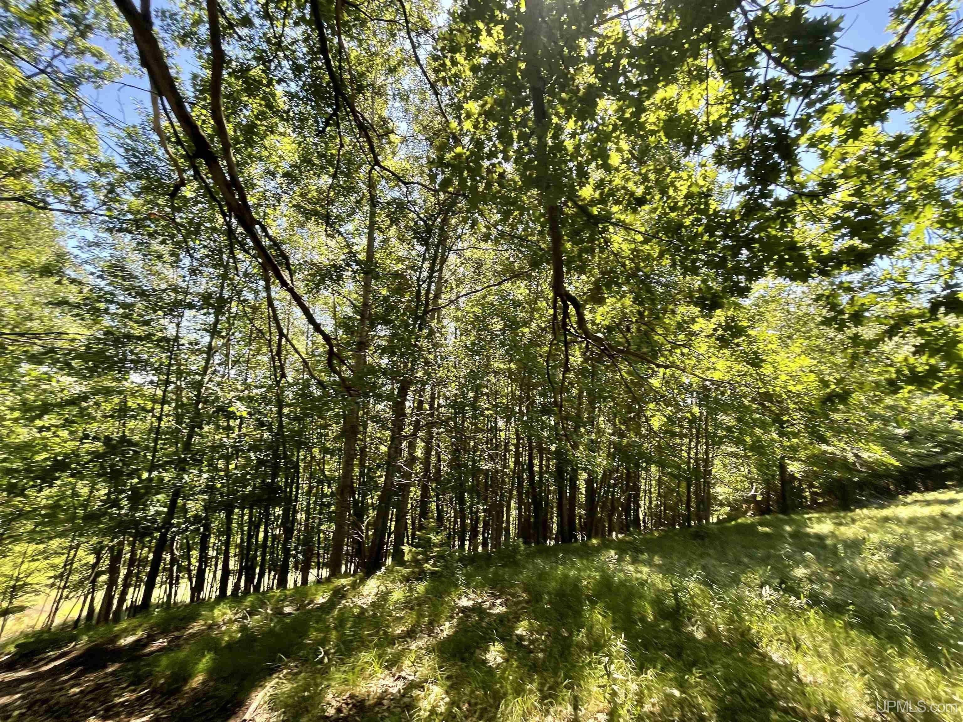 print property image