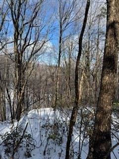 print property image