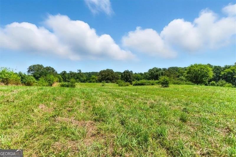 print property image