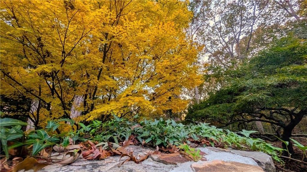 print property image