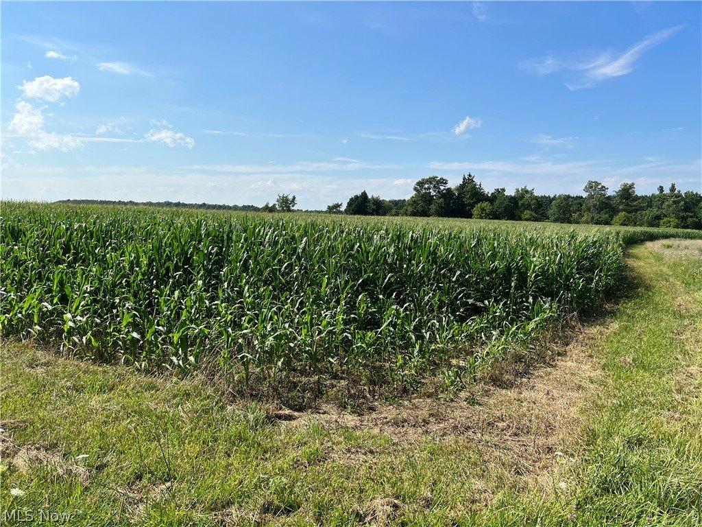 Lot B Cook Road, Wakeman, OH 44889 MLS 4435982 CENTURY 21