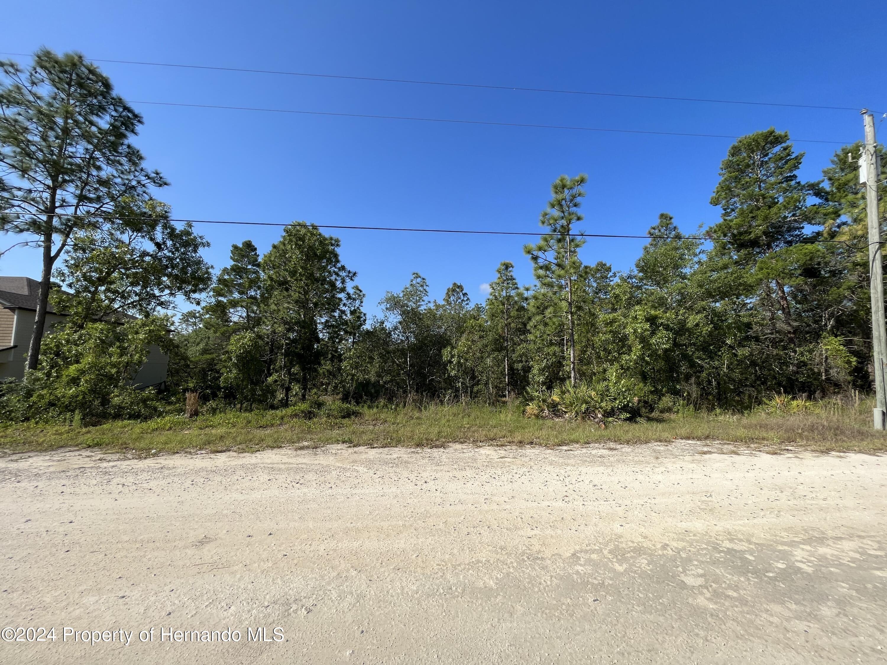Property Image for 0 SCAUP DUCK Avenue