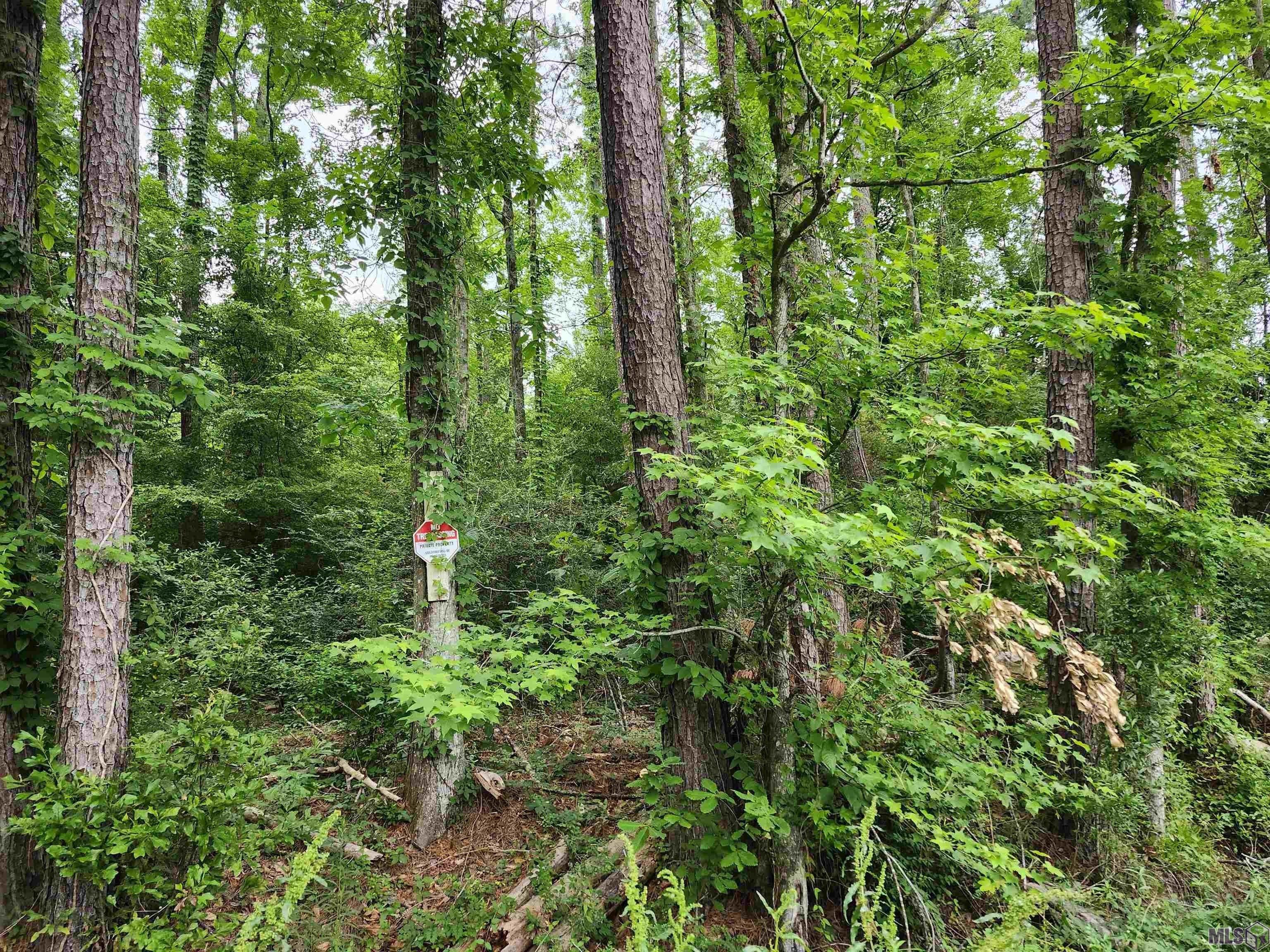 Property Image for Lot 83 BAKER DR