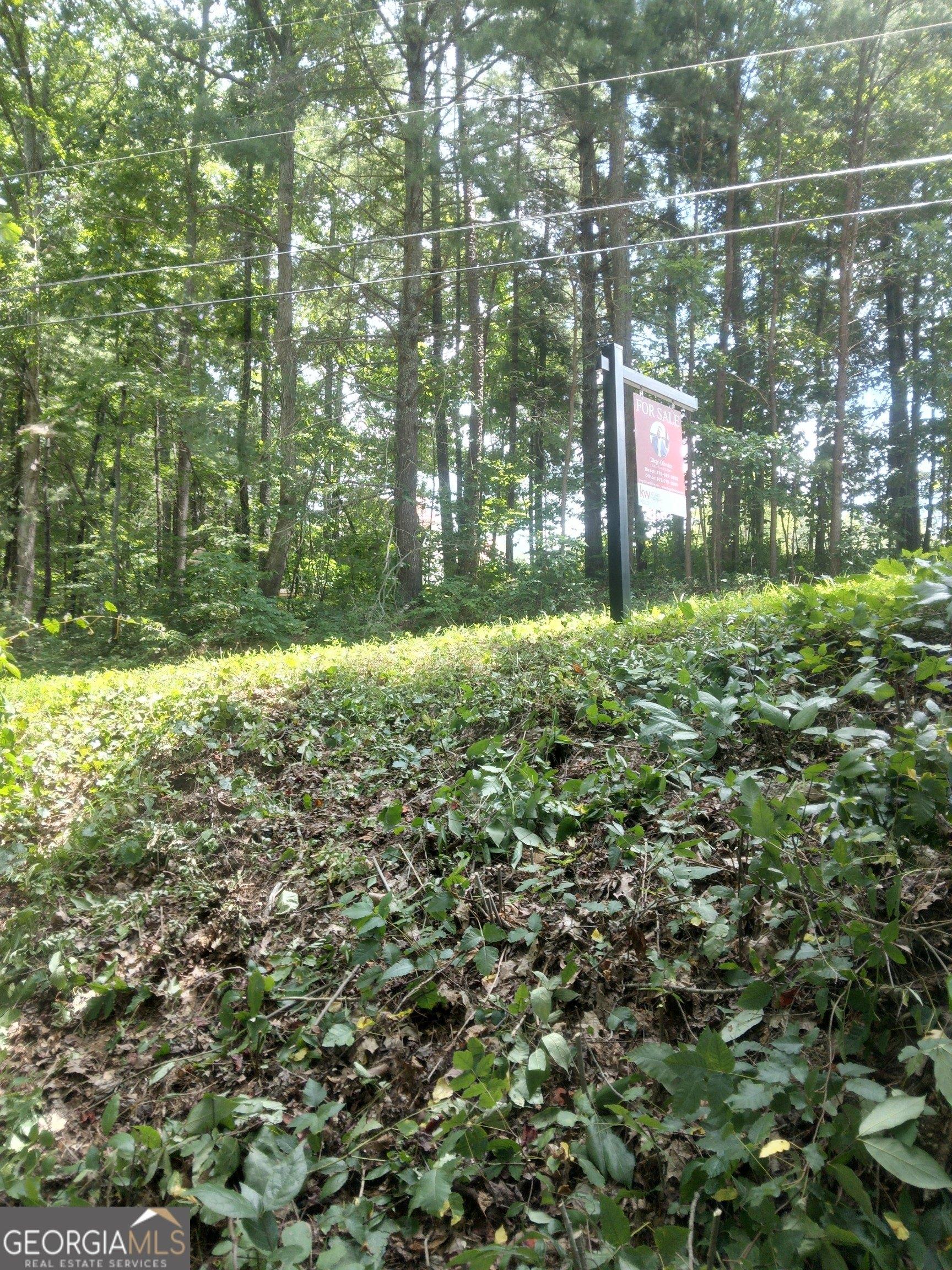 print property image