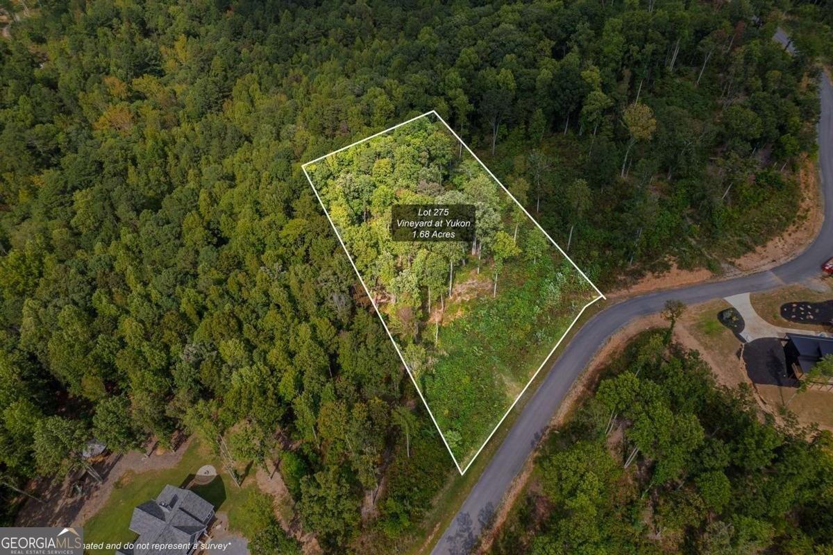 print property image