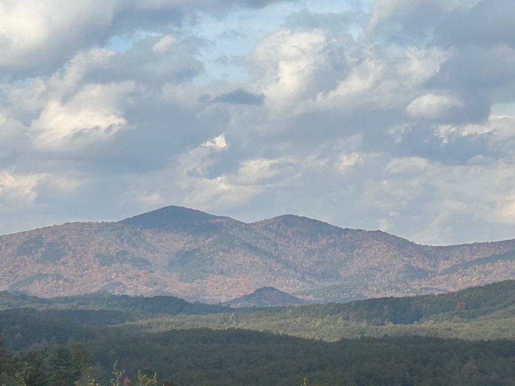 print property image