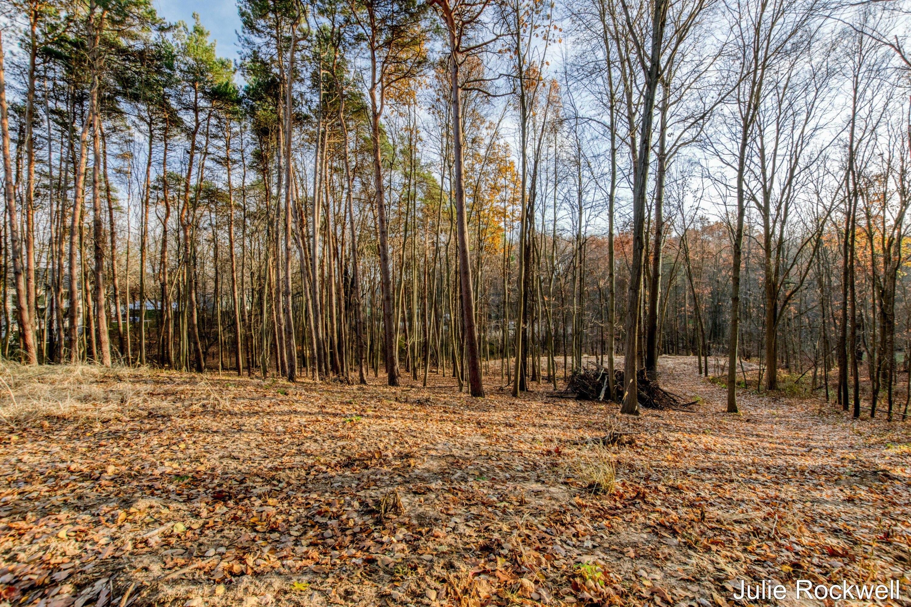 print property image