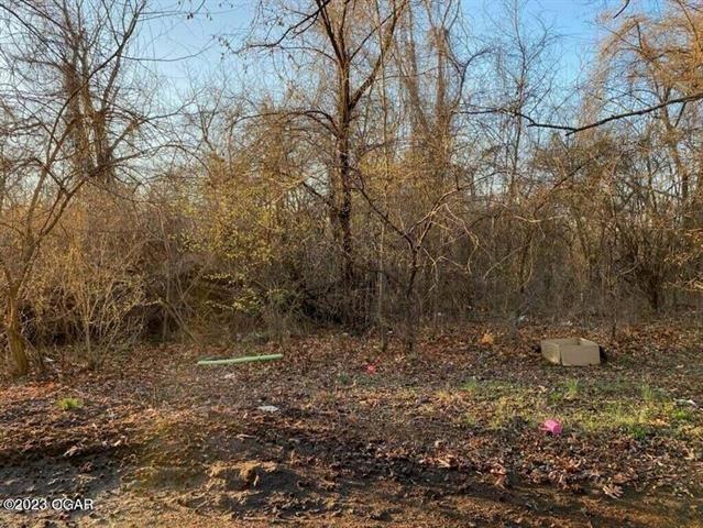 Property Image for Lot 15 Ozark Avenue