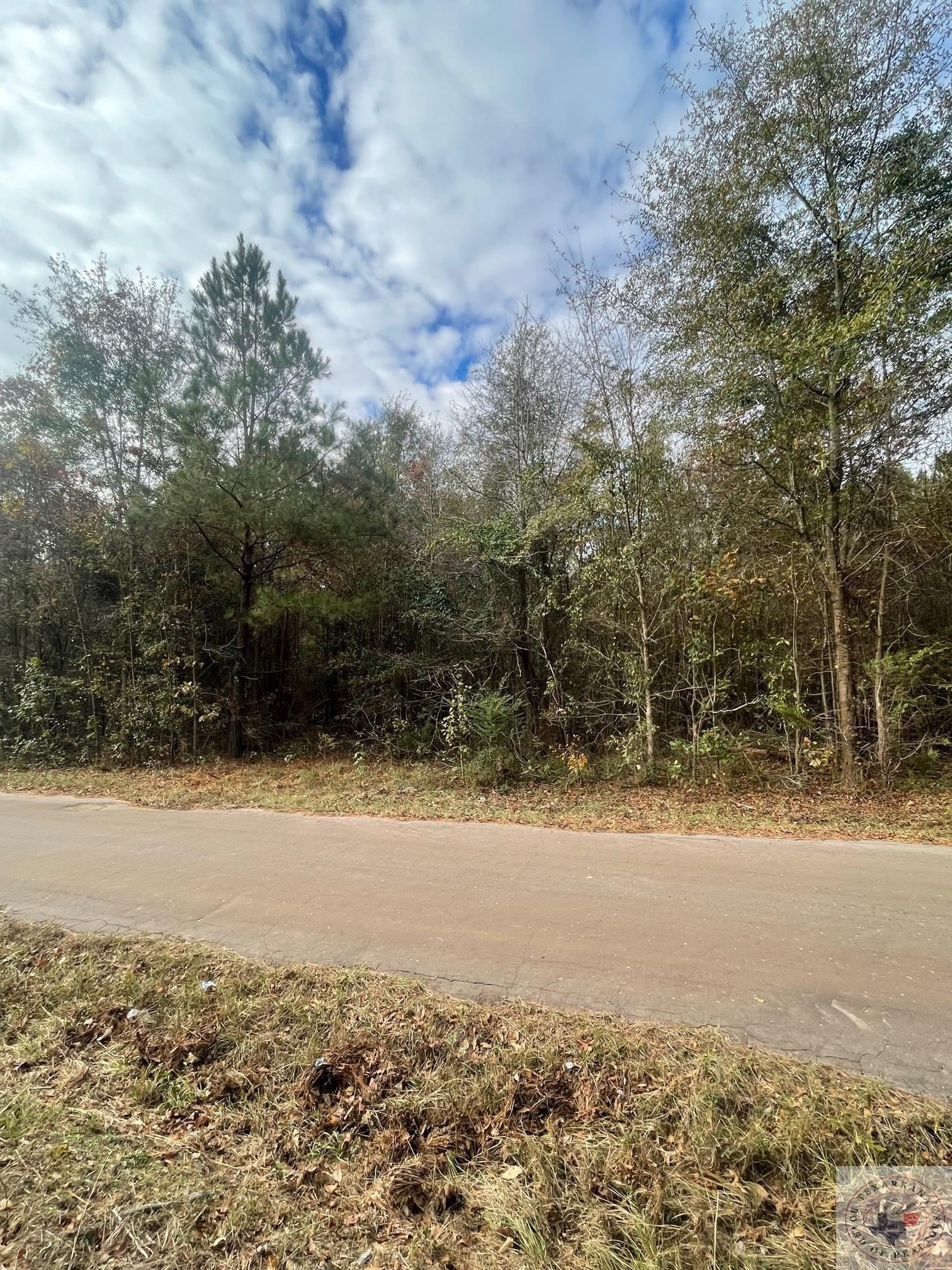 Property Image for TBD 35 Acres CR 3665