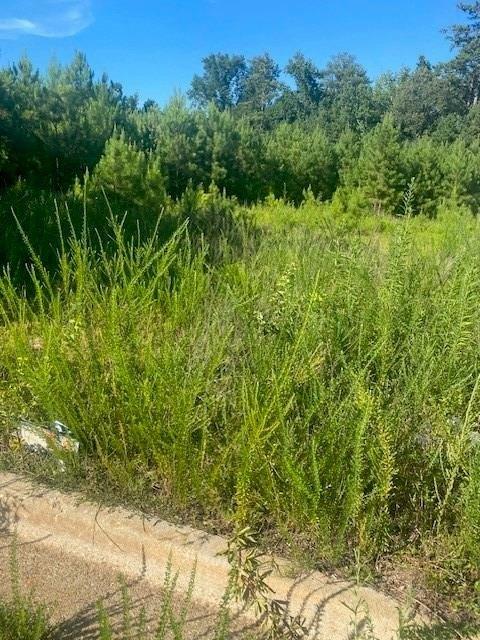 Property Image for 0 NORTHLAKE Drive SE