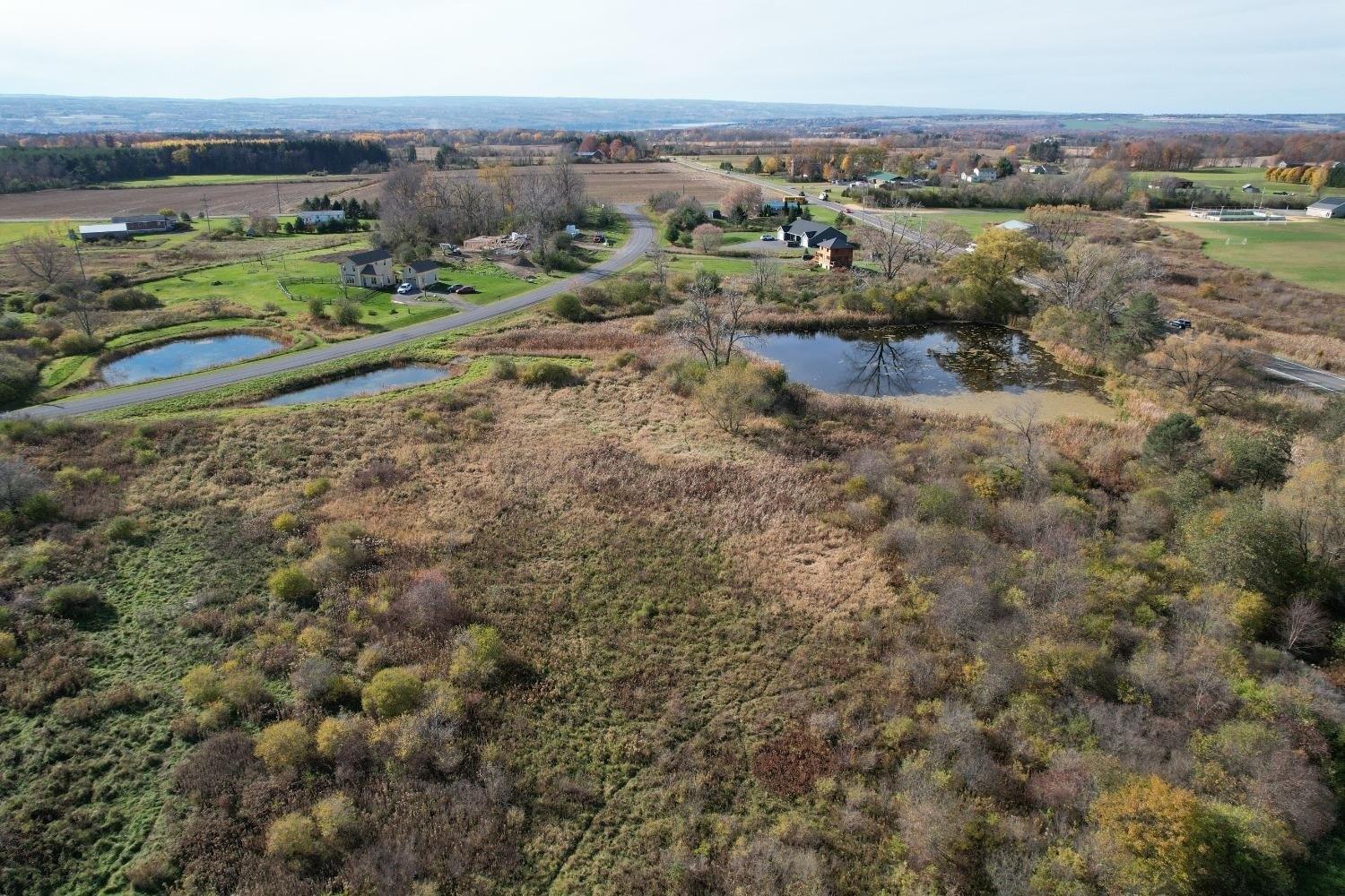 print property image