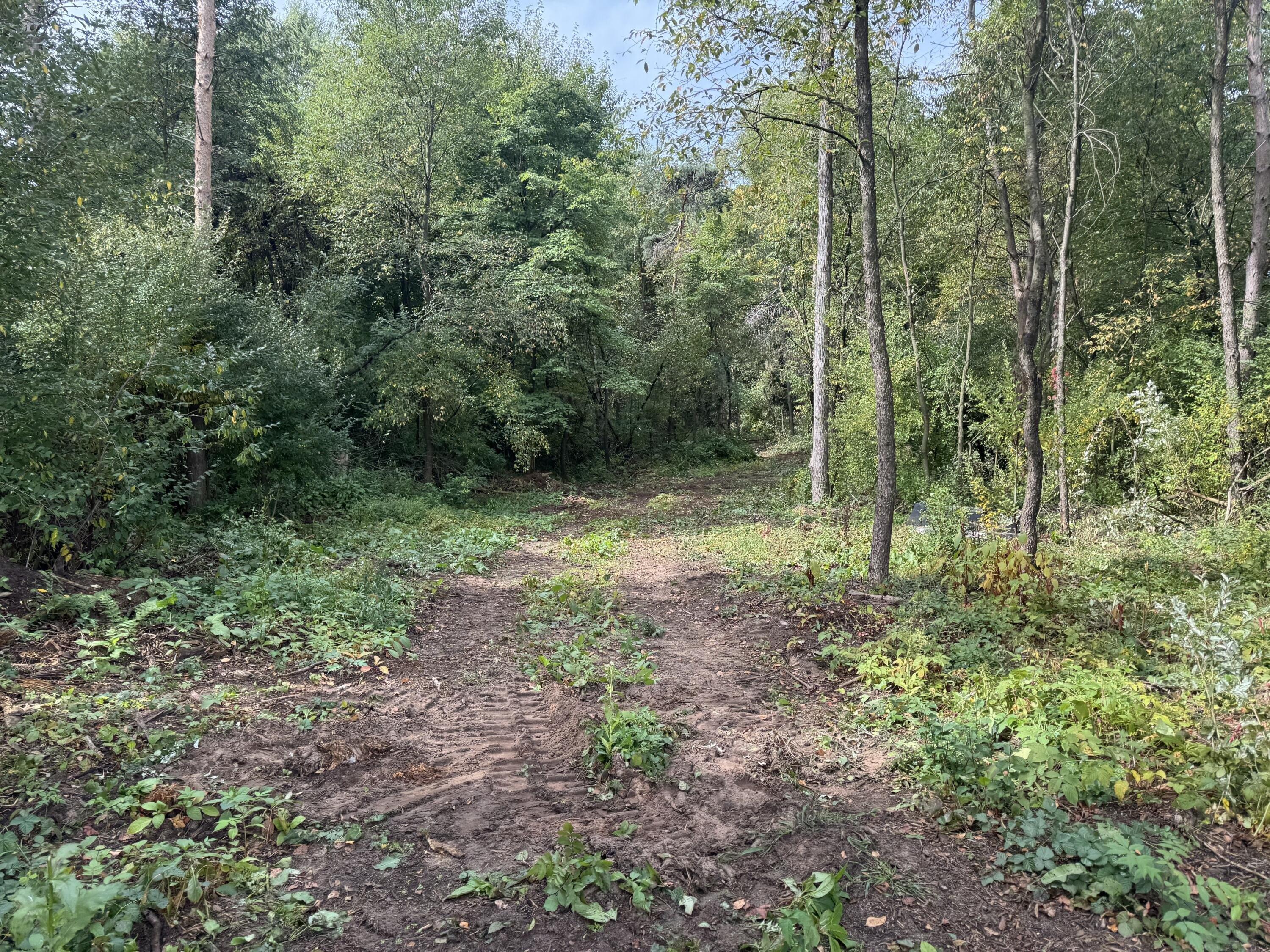 print property image