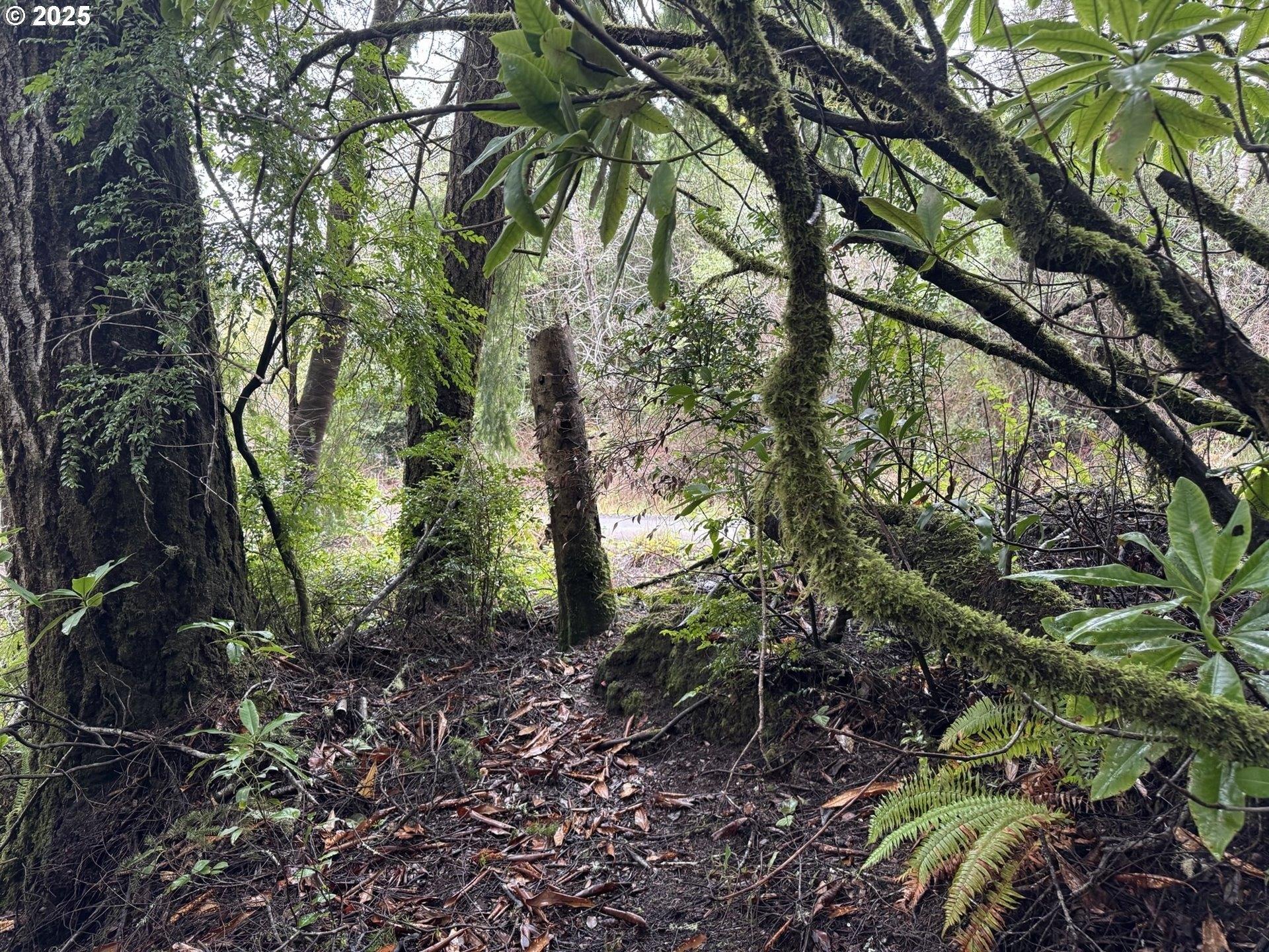 print property image