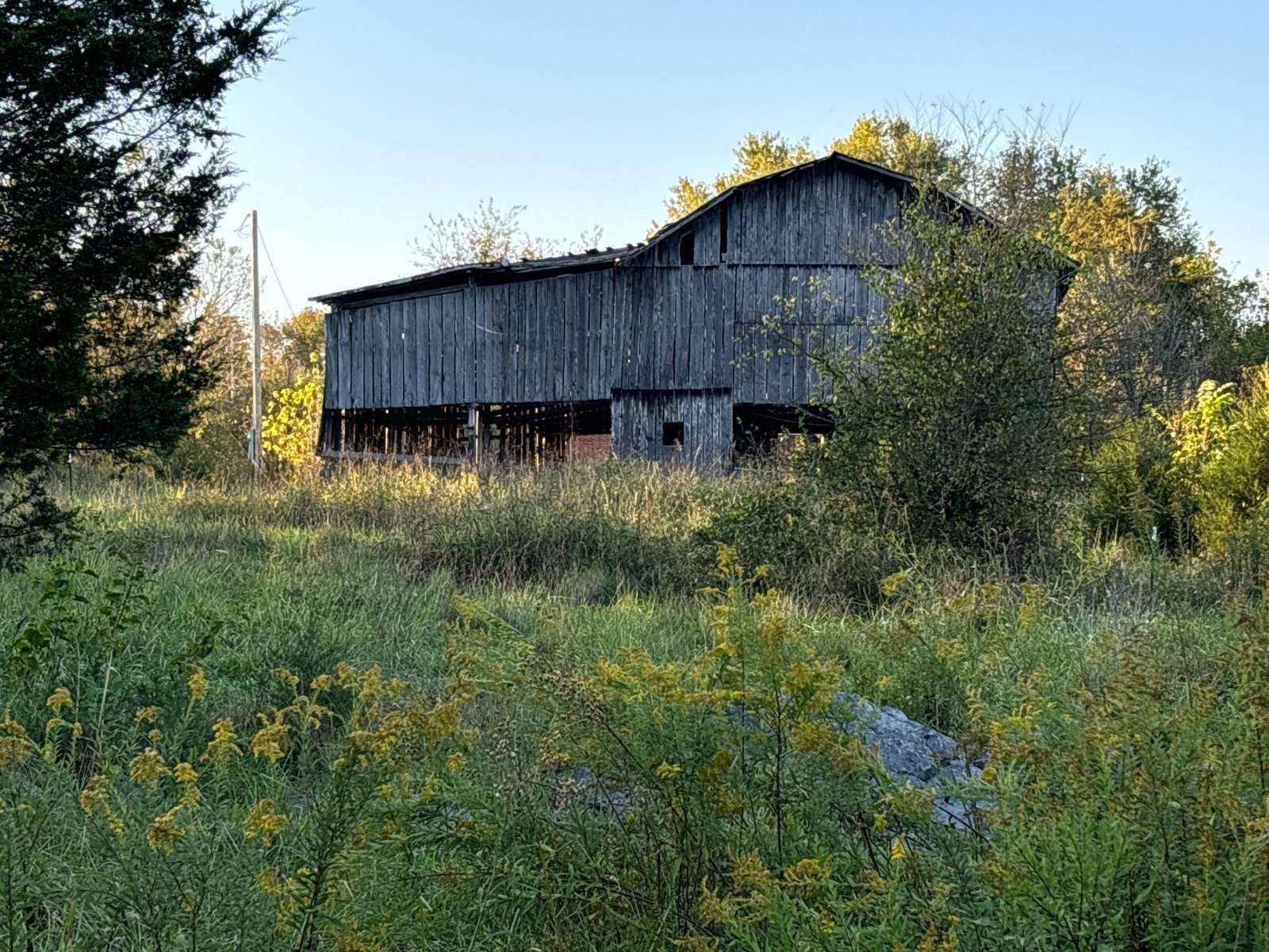 print property image