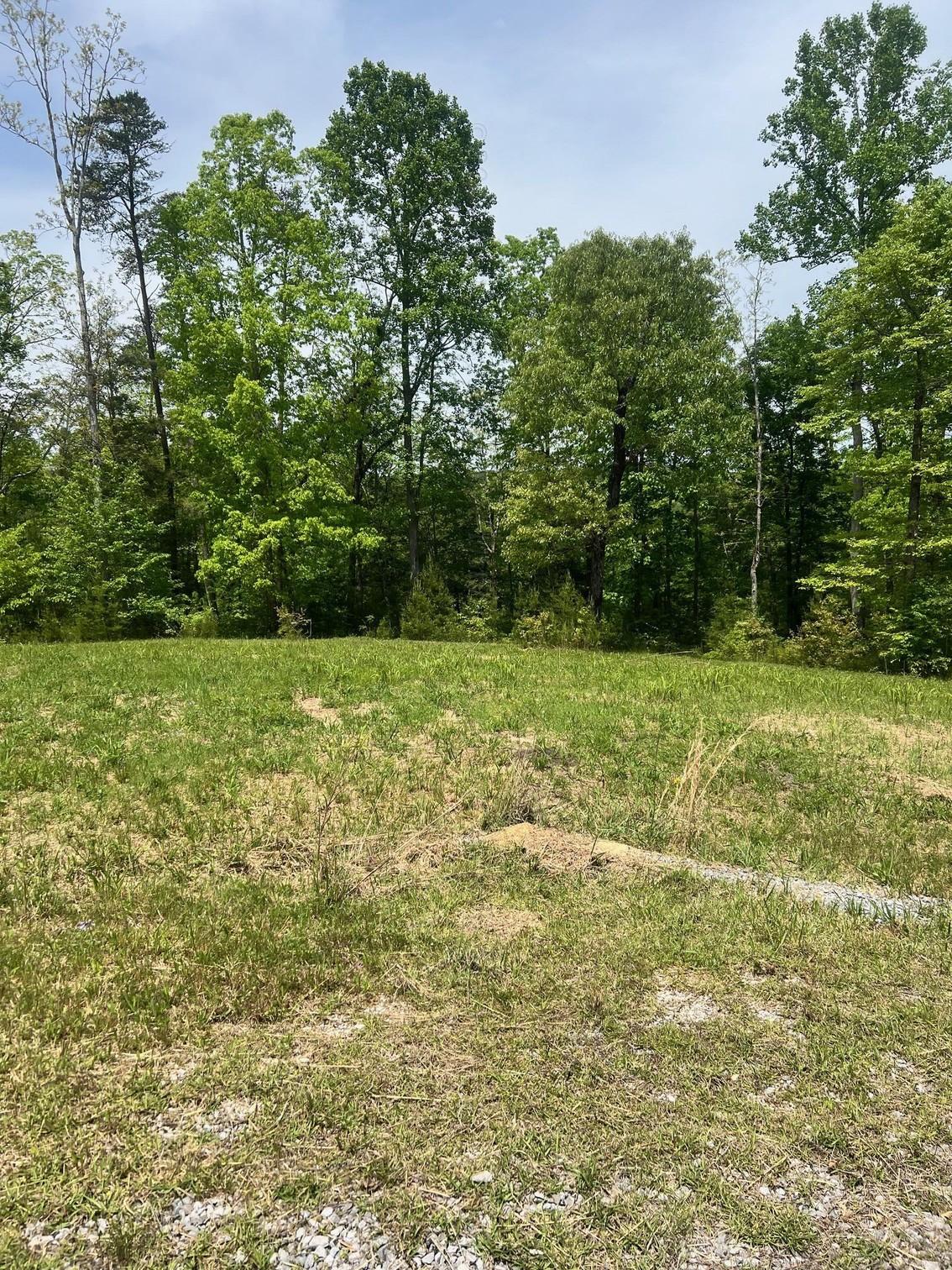 Property Image for LOT 39 HIGHLAND SHORES LANE Dr