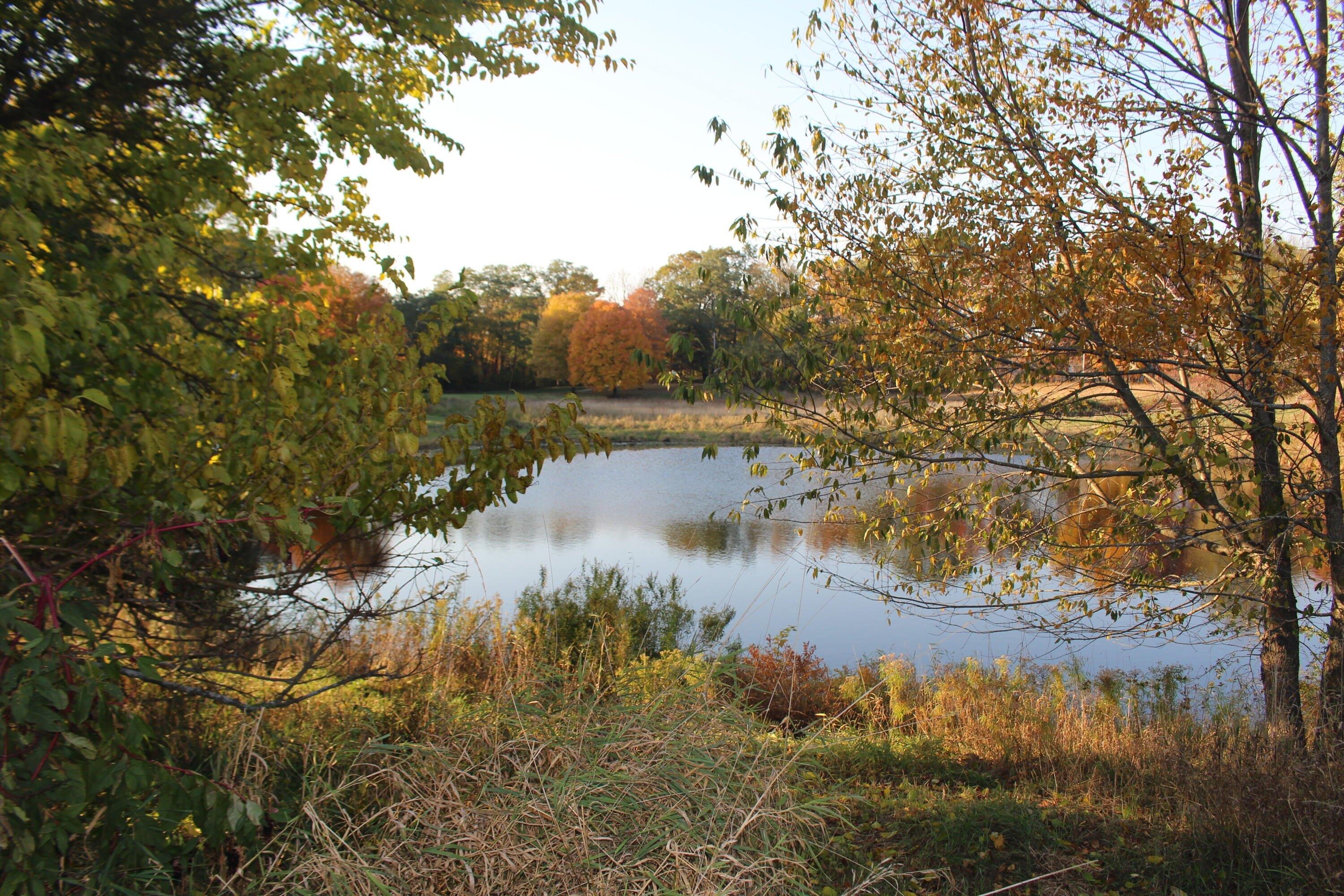 Property Image for Lot 9 Reflection Pond Drive