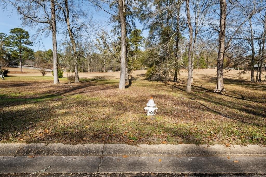 print property image