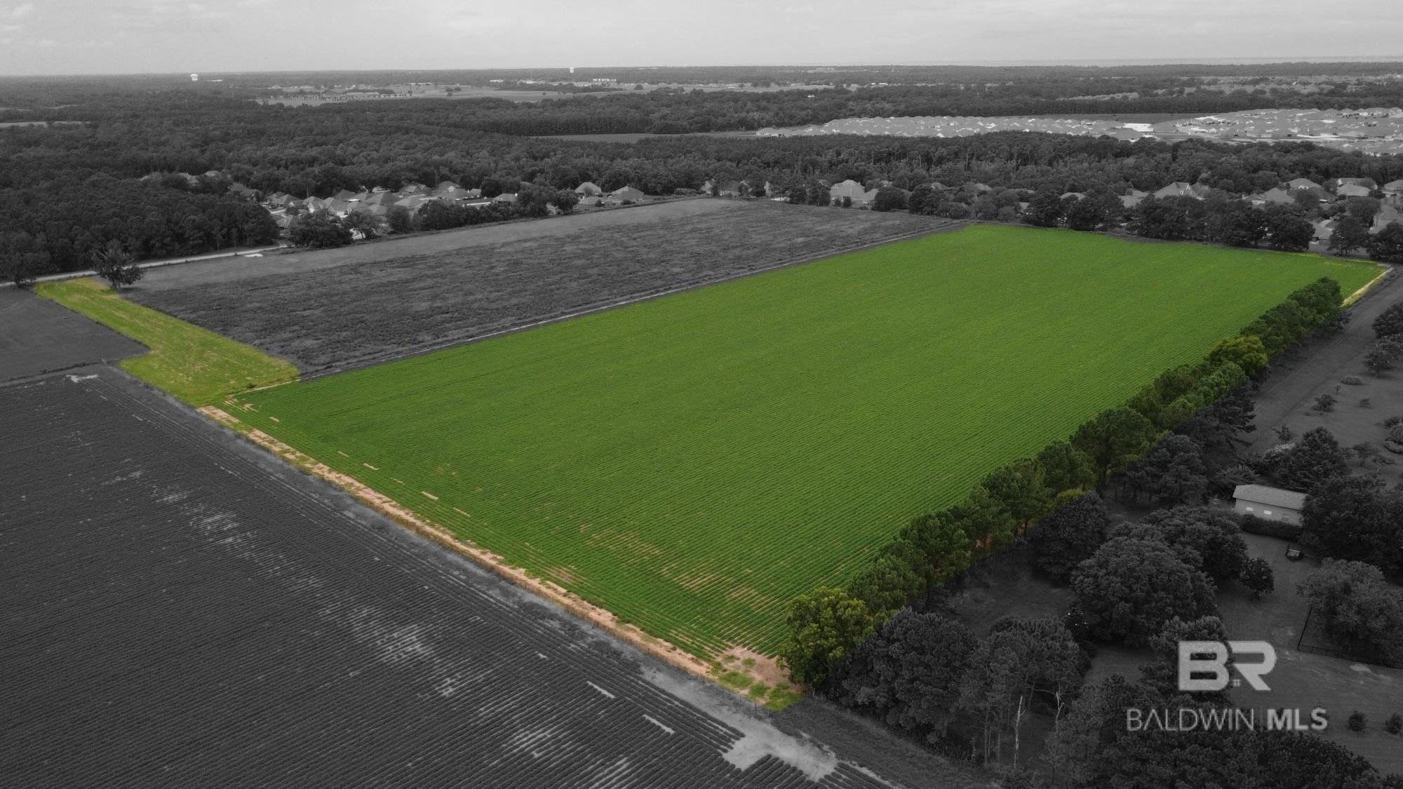 print property image