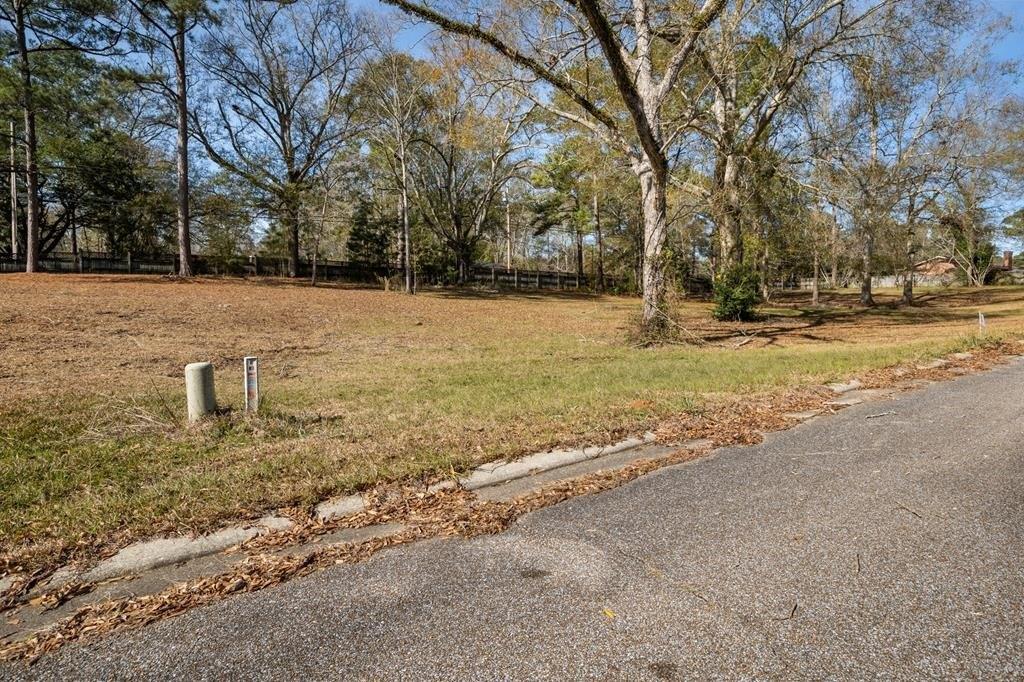 print property image