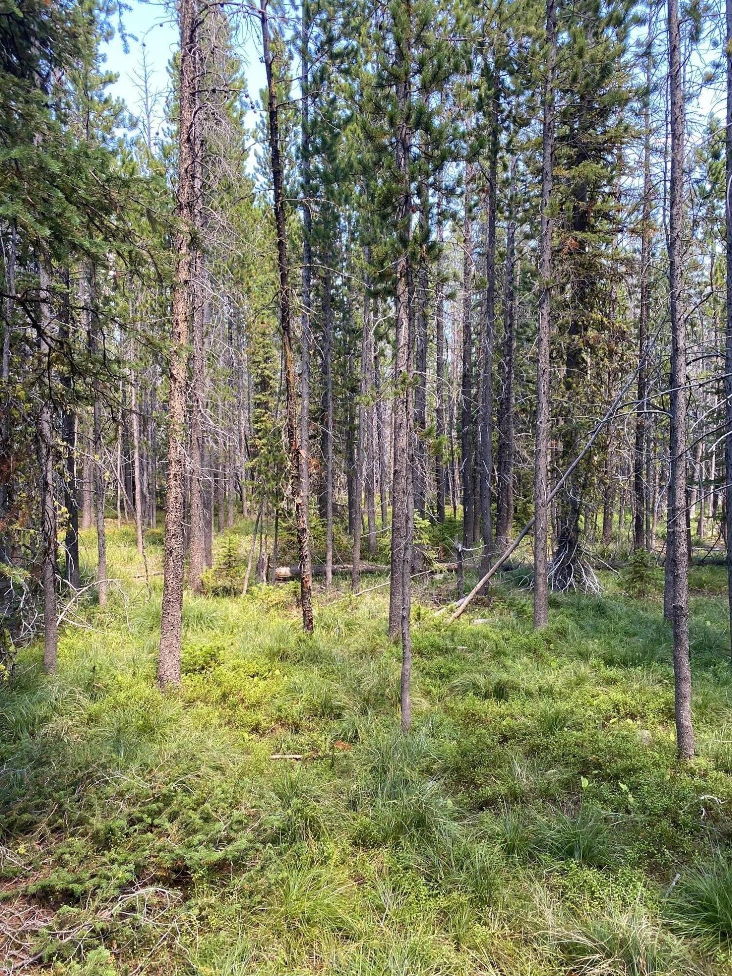 print property image