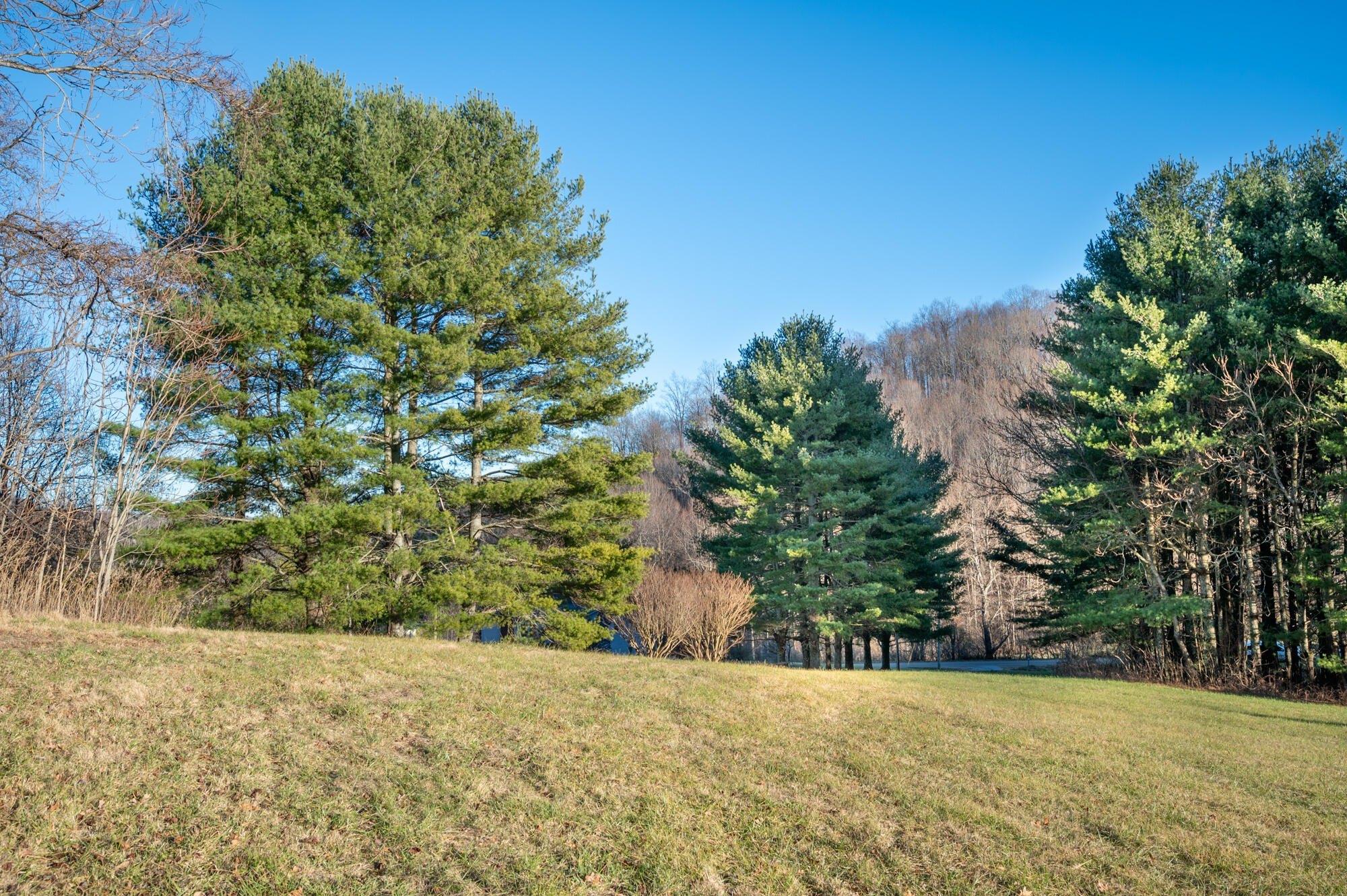 Property Image for TBD Trot Valley RD