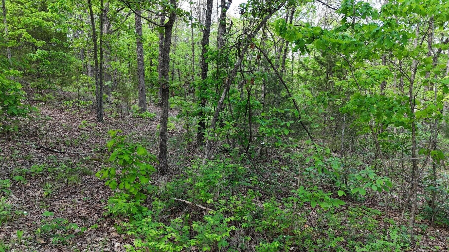 Hartville Real Estate Find Houses & Homes for Sale in Hartville, MO