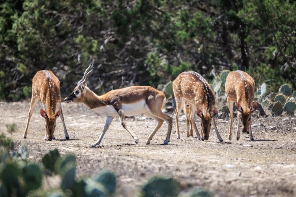 print property image