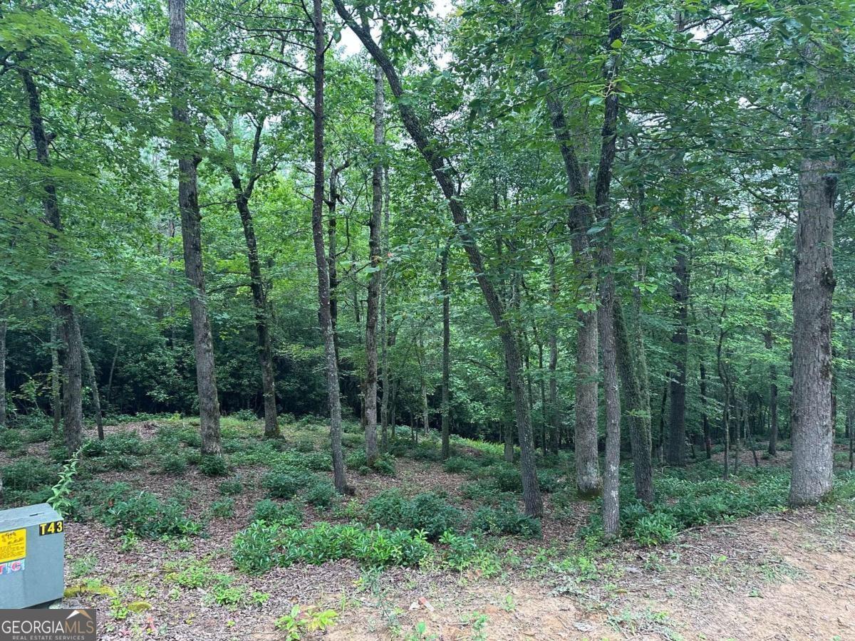 Property Image for LOT 20 Brasstown Trails 20