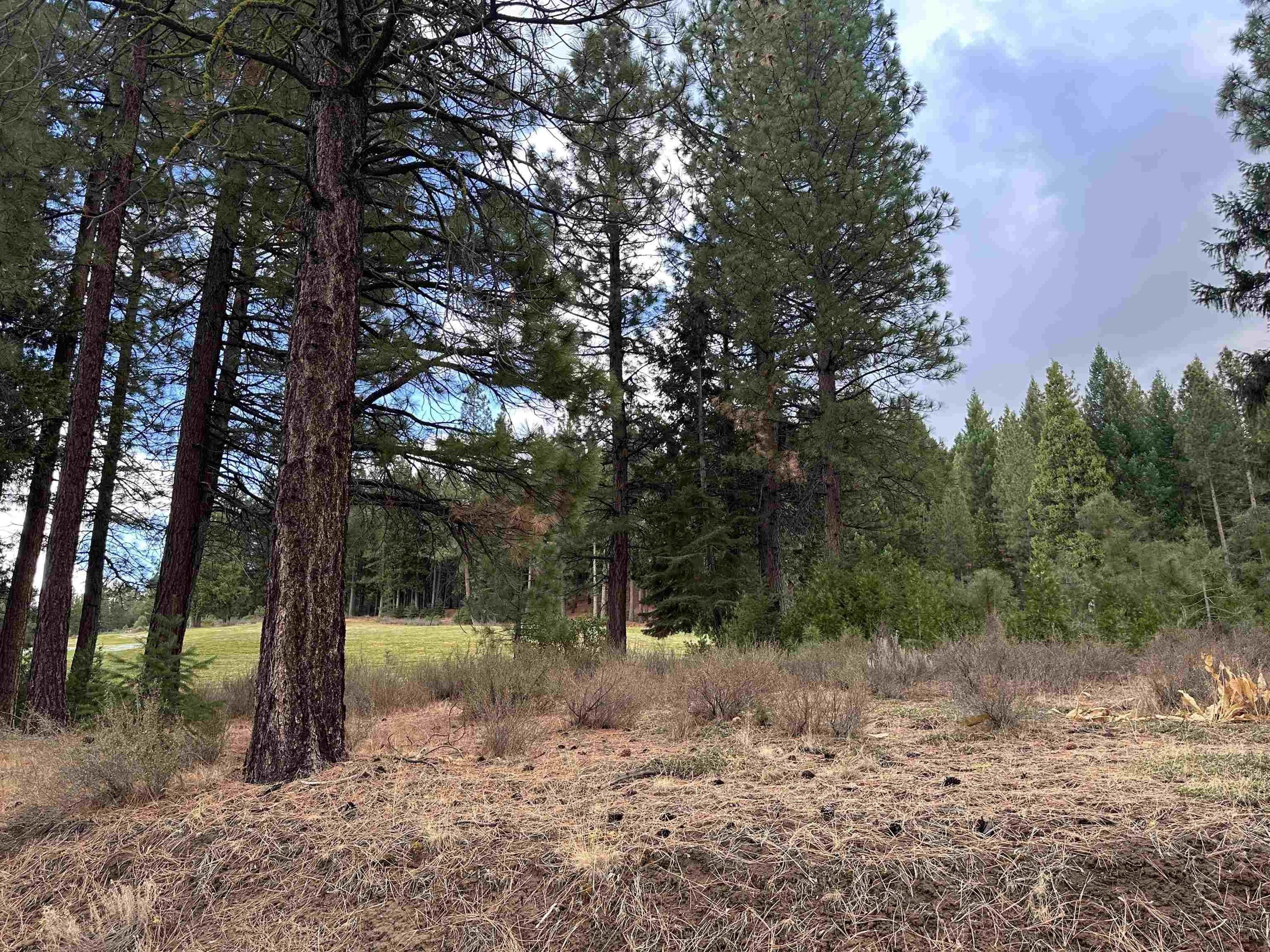 print property image