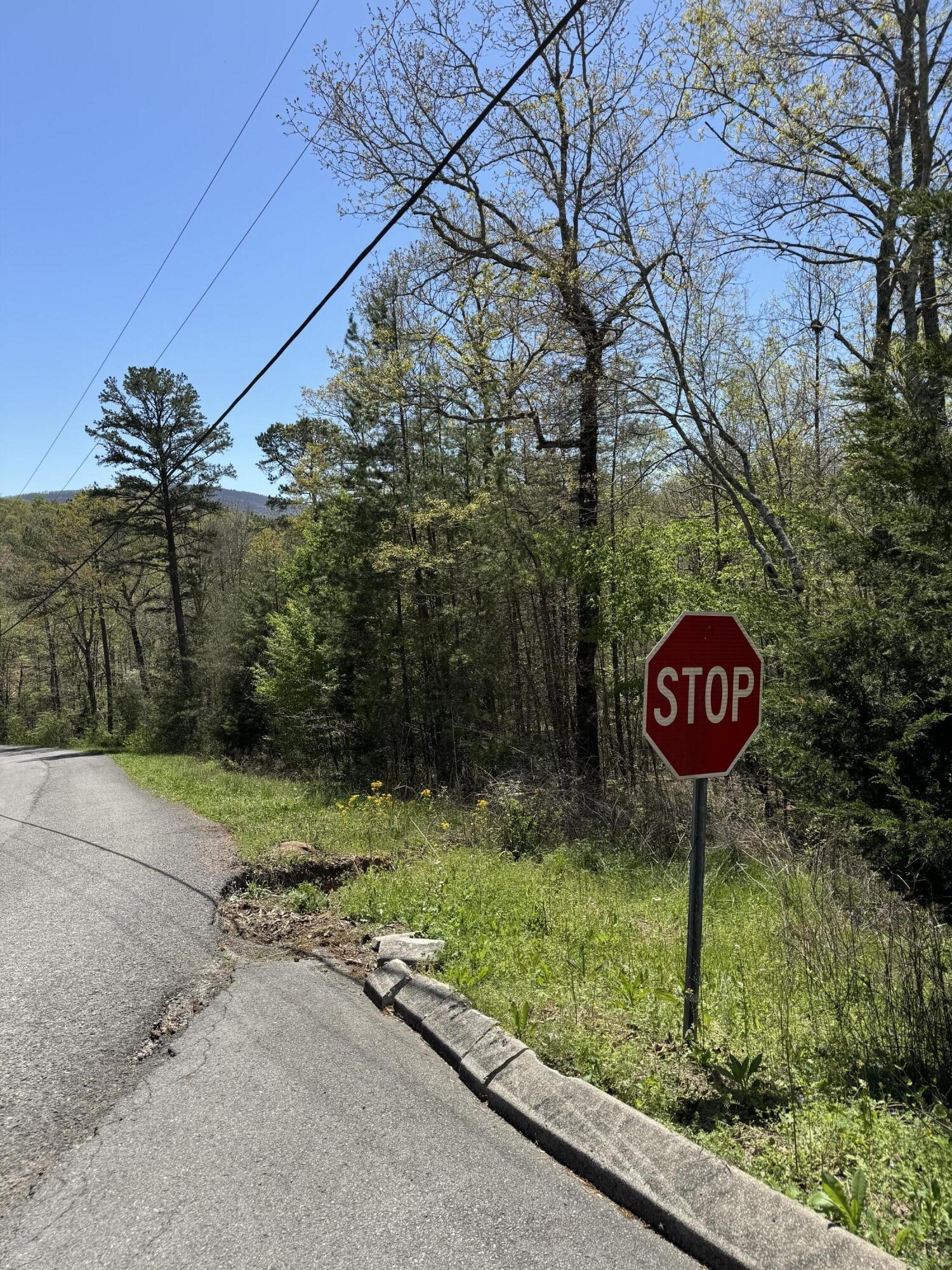 Property Image for 1 Hidden Ridge Loop