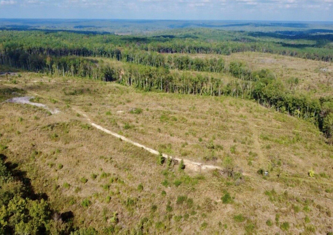 print property image