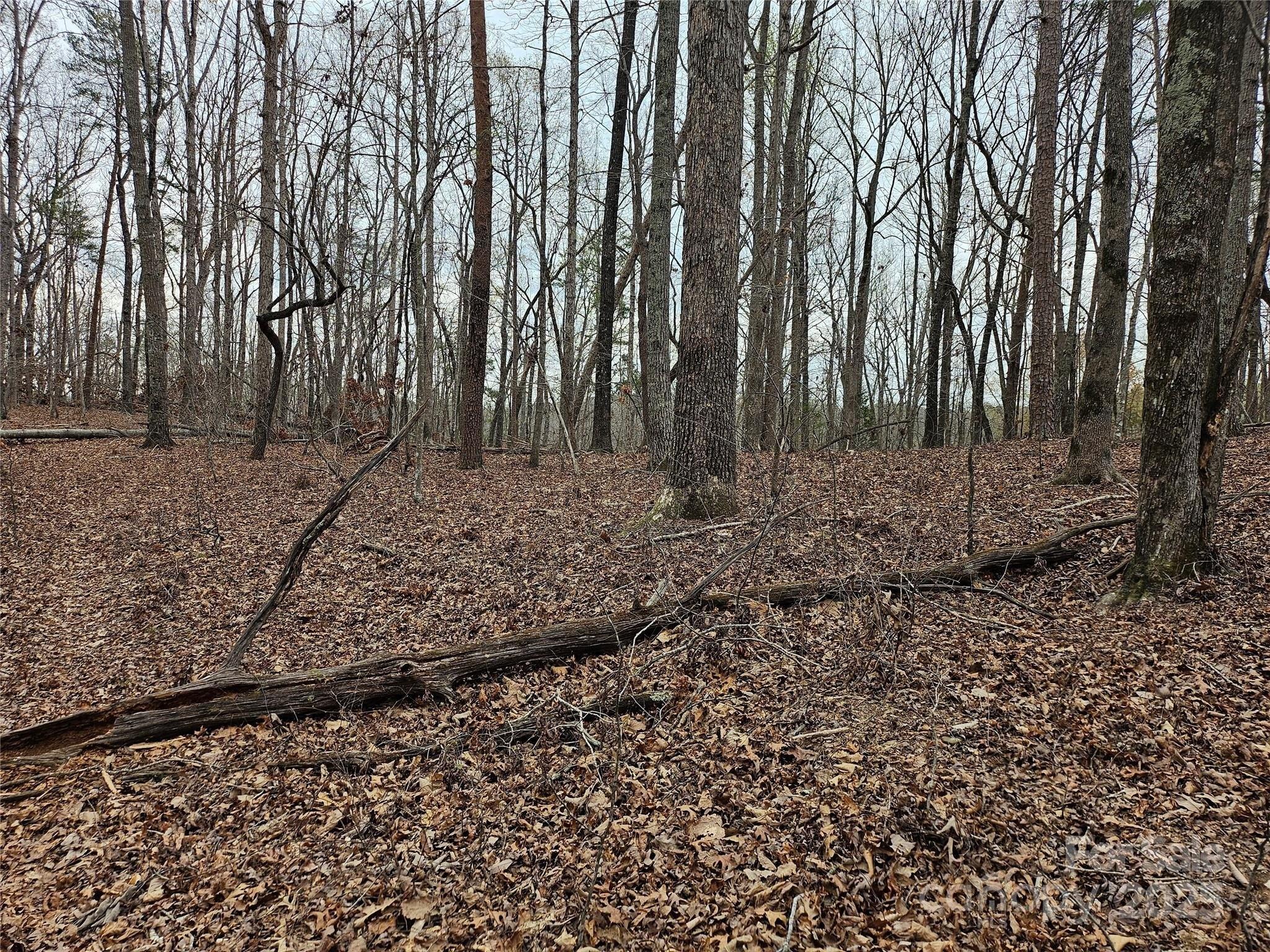 Property Image for Weaver Mill Road