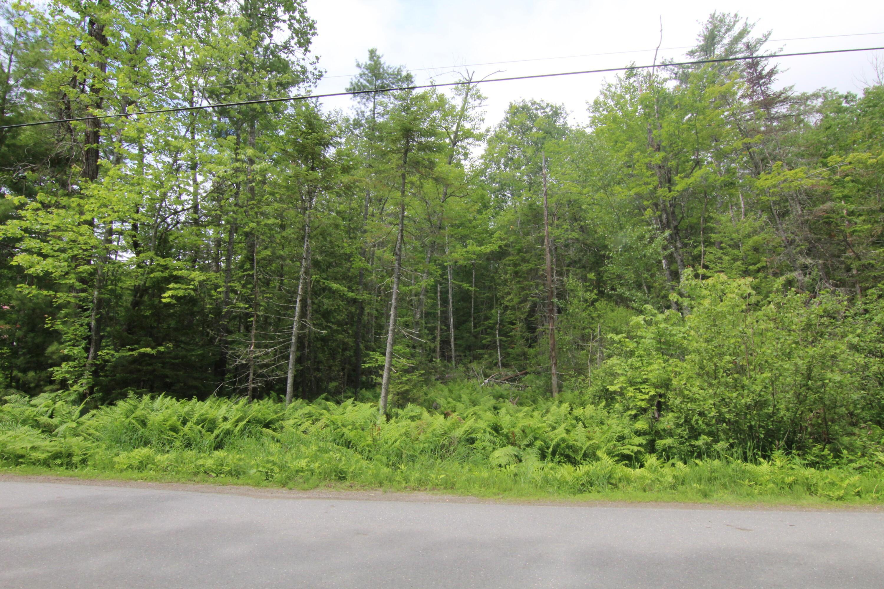 Property Image for Lot 37c Brewer Lake Road